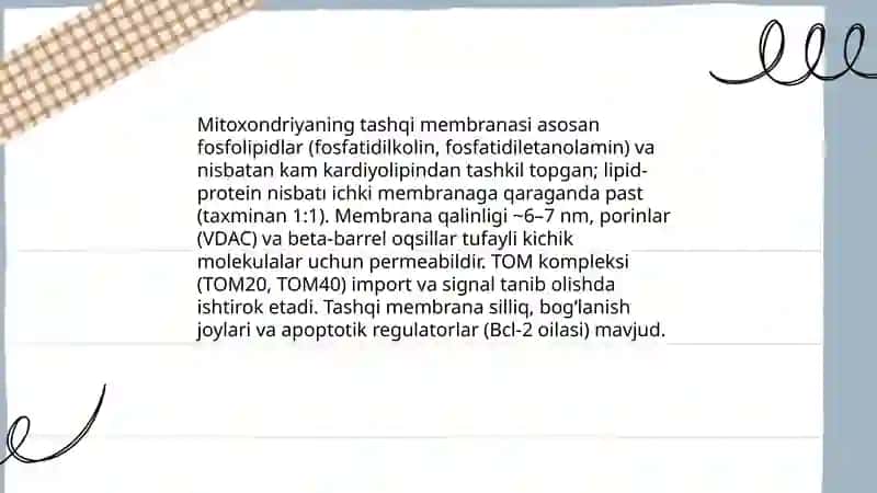 Mitoxondriyalarning tuzilishi 4