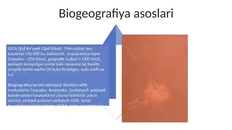 Qizil kitobni yaratilishi 4
