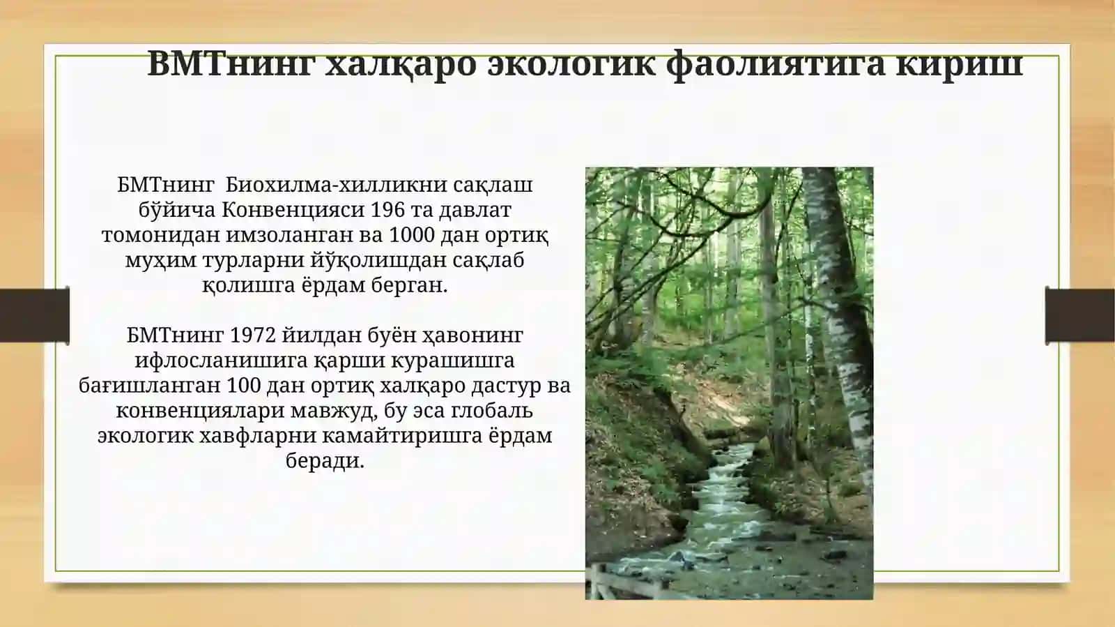 BMTning xalqaro ekologik faoliyati 4