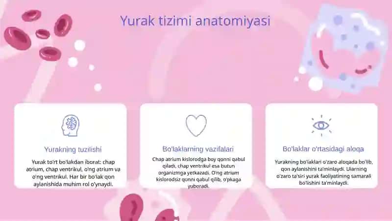 Yurak faoliyatini boshqarilishi 4