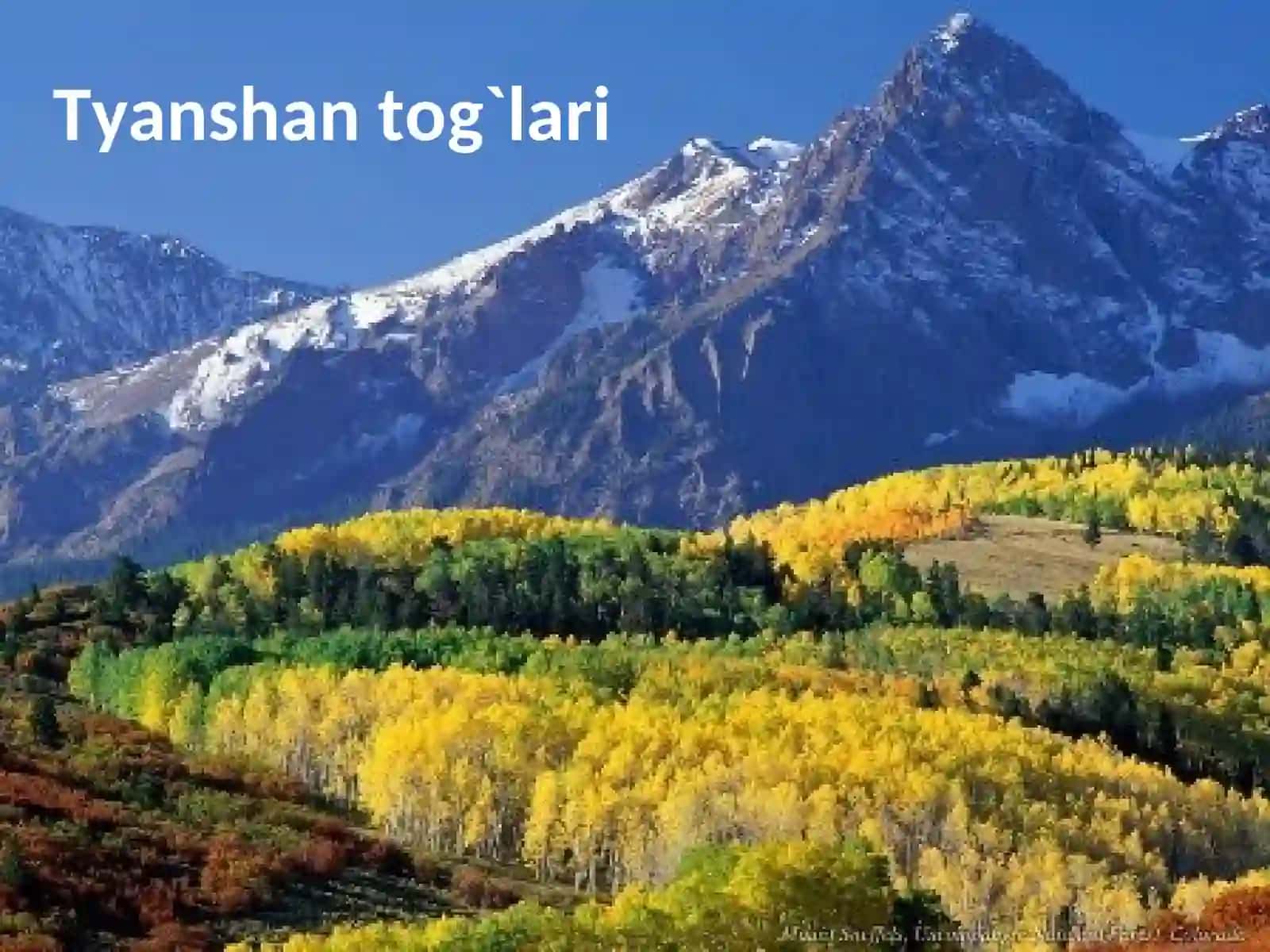 Tog`li va suvli yeryo`mbori harakatlari 4