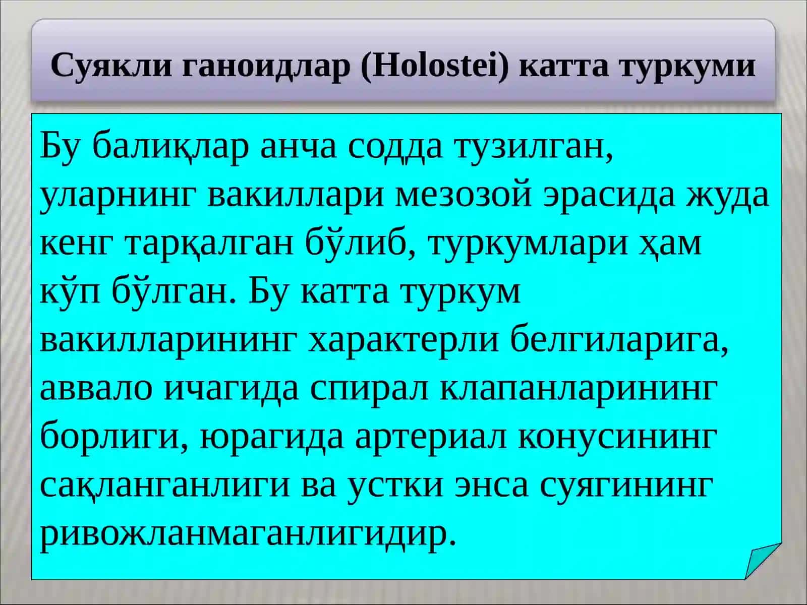 Суяклибалиқлар систематикаси 4
