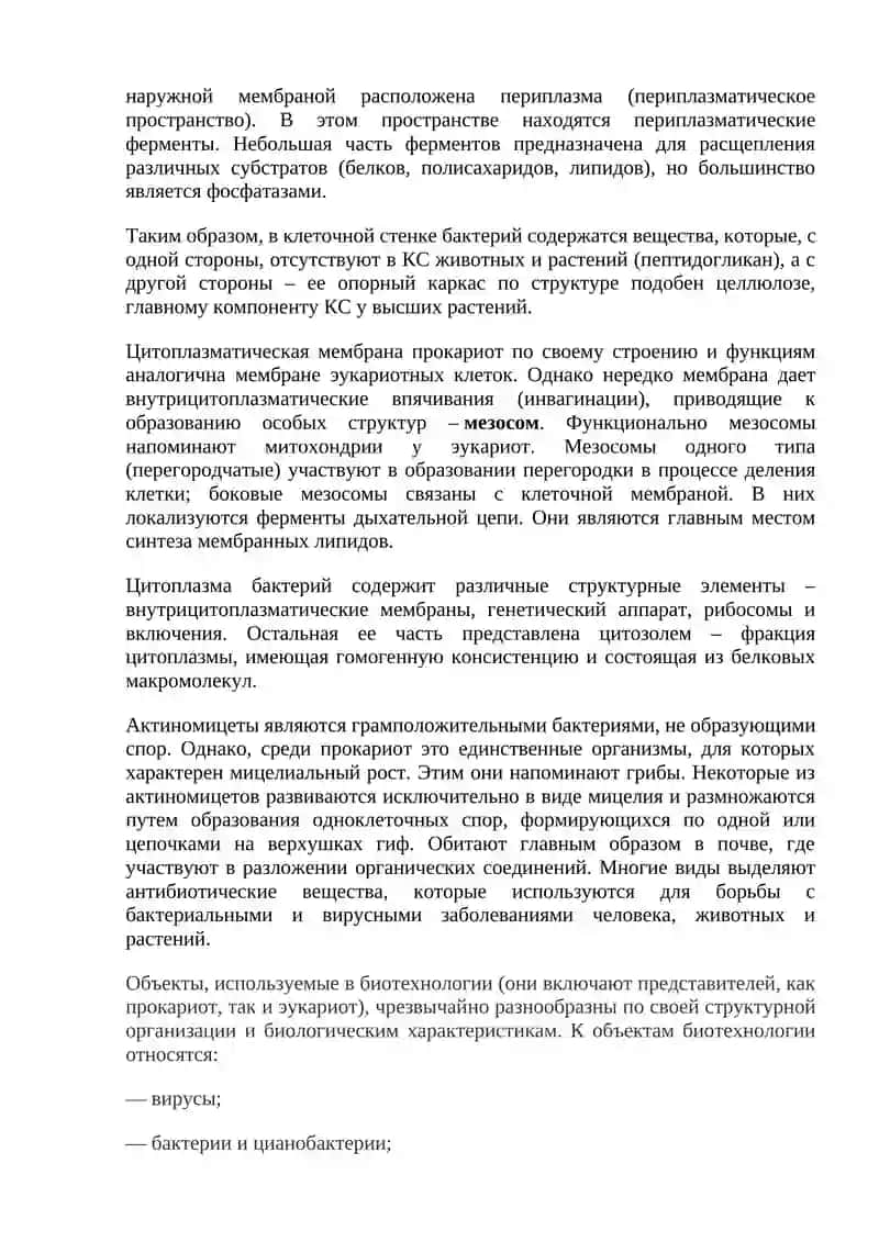 Прокариоты. Бактерии 4