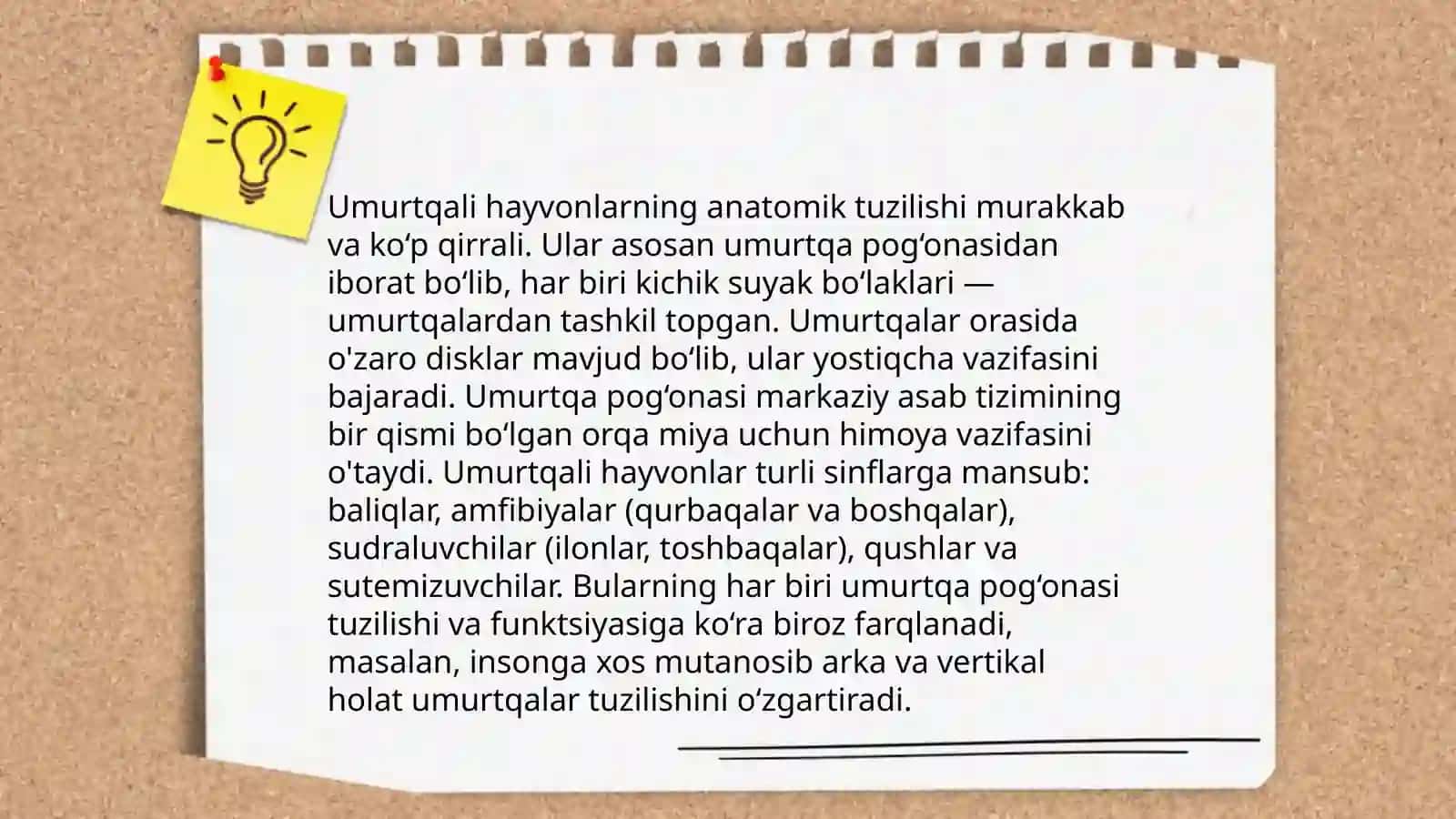 Umurtqalarning sohalari bo'yicha xususiyatlar 4