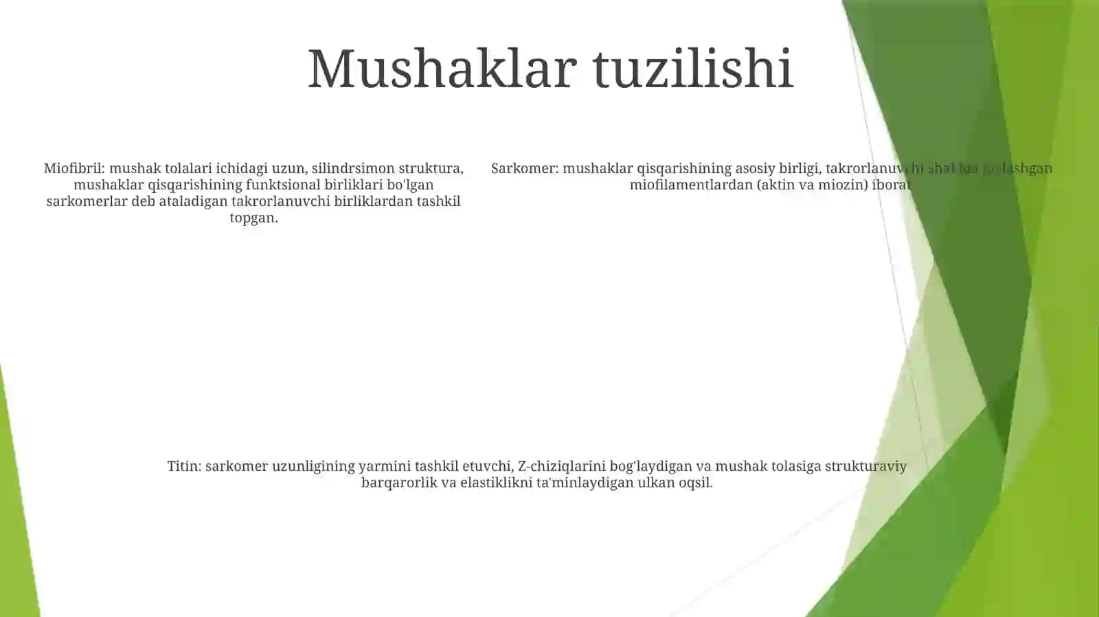 Muskul tolasi turlari 4