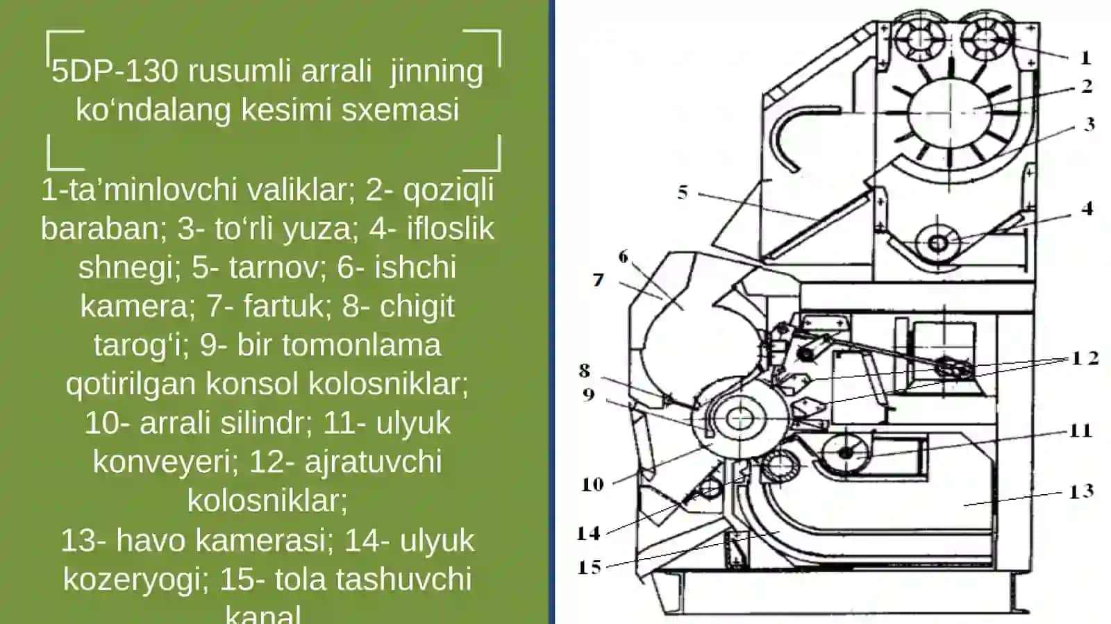 O‘rta tolali paxtani jinlash (tola ajratish) jarayoni 4