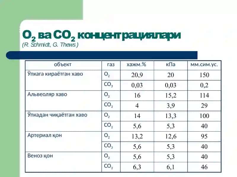 Ташқи нафастизими патофизиологияси 4