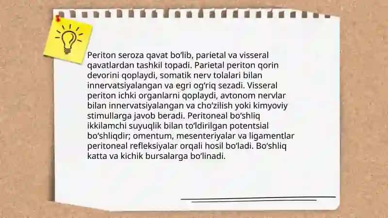 Qorin bo'shlig'ining umumiy anatomik chegaralari 4