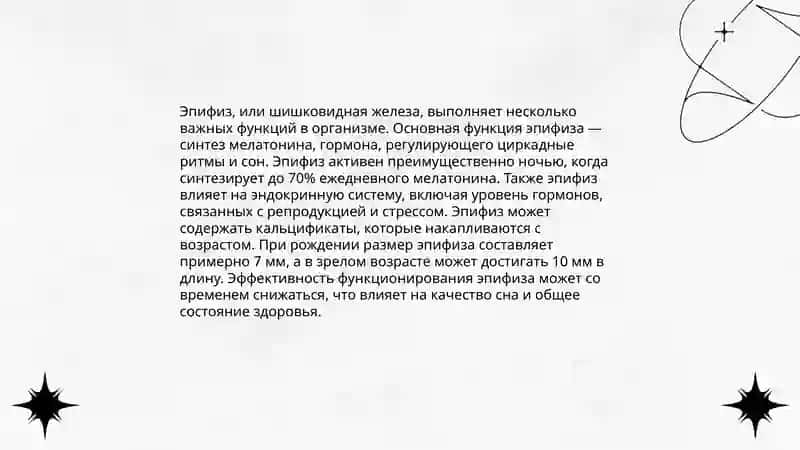 Эпифиз гепофиз щетовидка 4