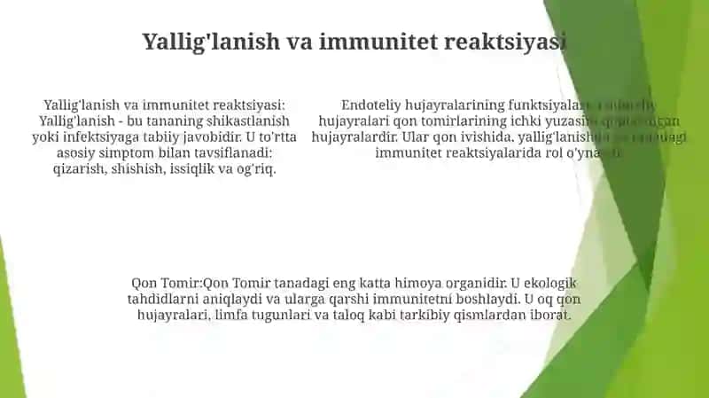 Qon Tomir Endoteliysining Funksiyalari 4