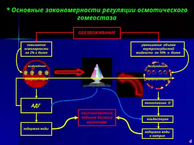 Патофизиология водно-солевого обмена 4