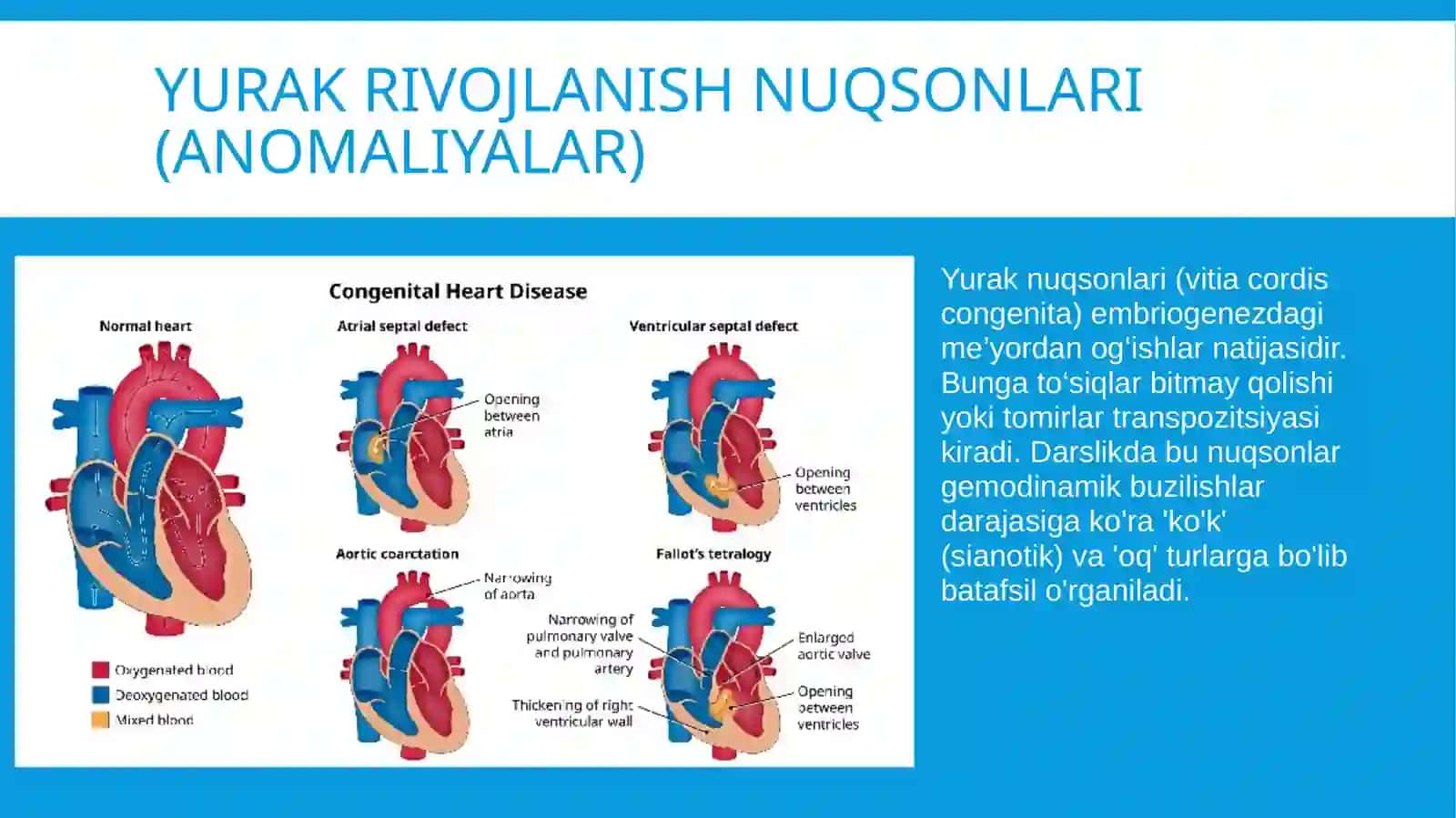 Anatomiya fanidan mustaqil ish/yurak mavzusi 4