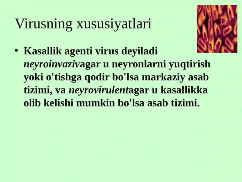 Neyroviruslar, poliomielit, quturish kasalliklari 4