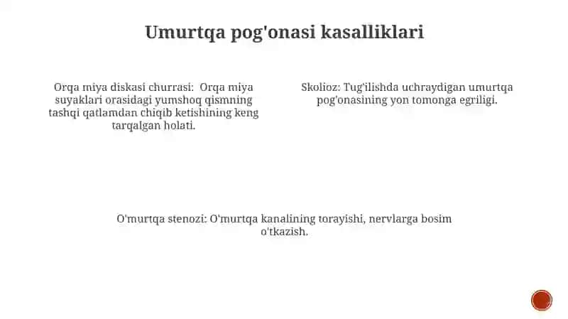 Umurtqa pogʻonasi, boʻlimlari va kasalliklari 4