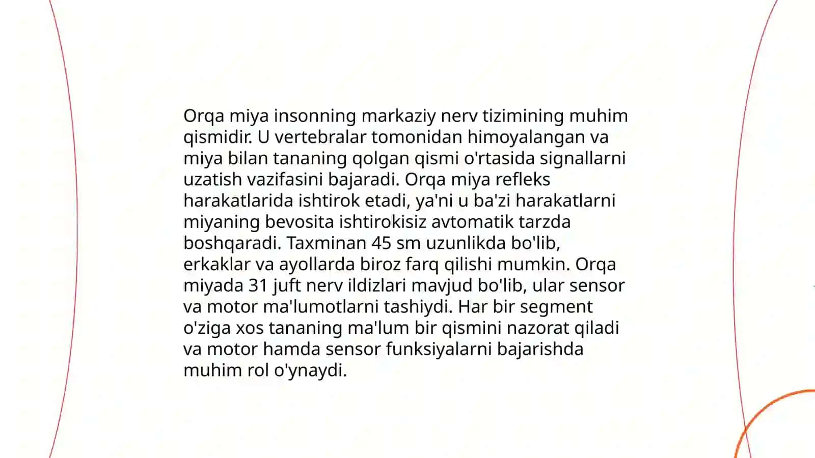 Orqa miya tuzulishi 4
