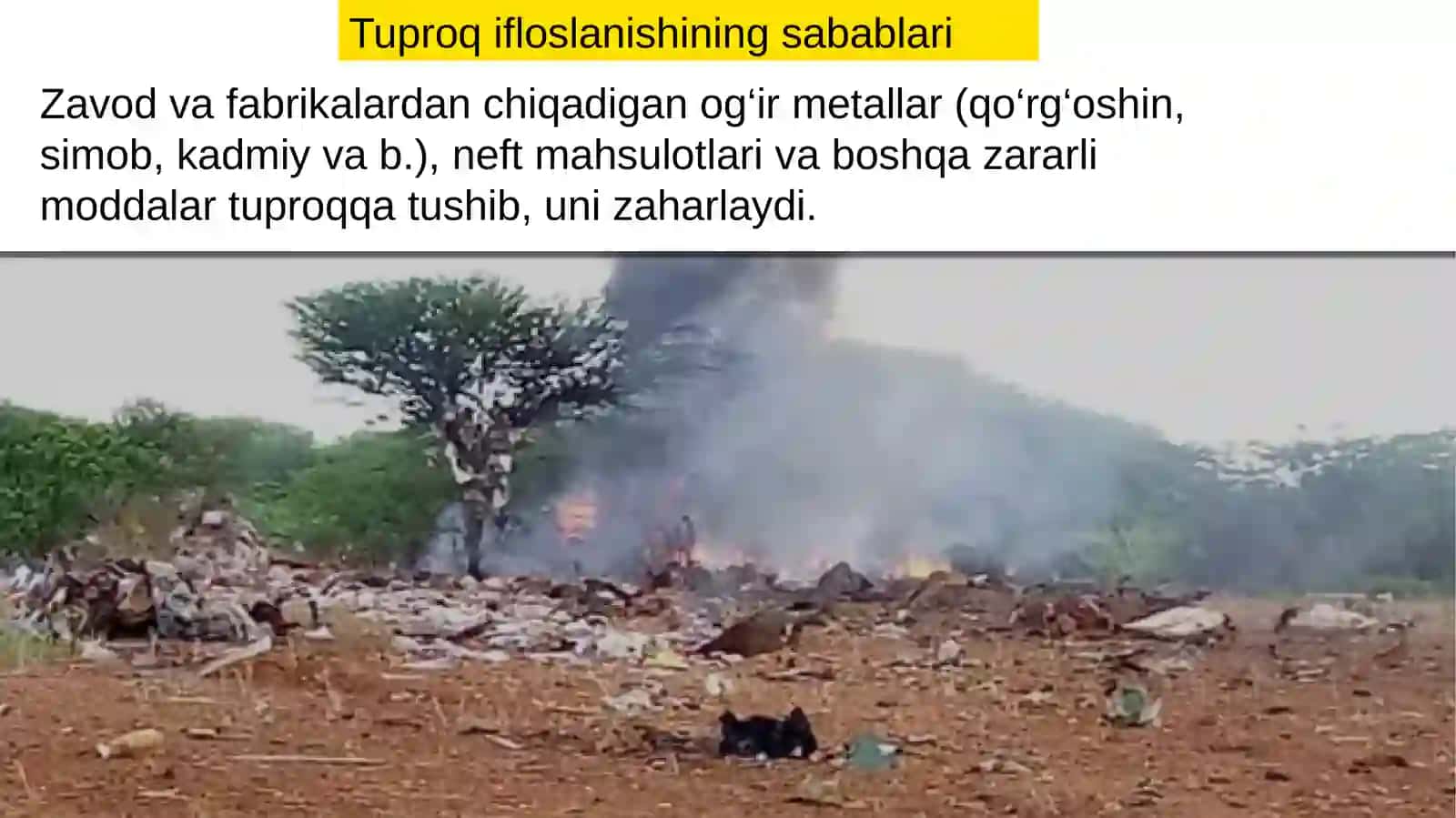 TUPROQLARMUHOFAZASI 4