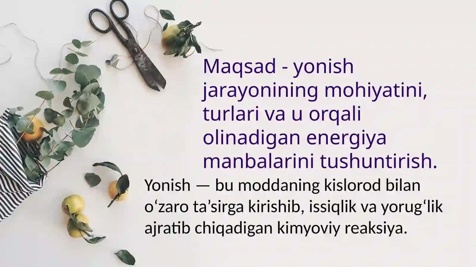 Energiya-siri 4