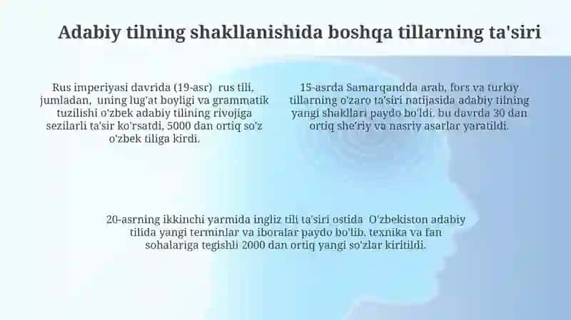 Adabiy tilni rivojlantiruvchi omillar 4