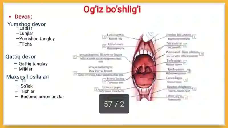 Tam bilish idroki 4