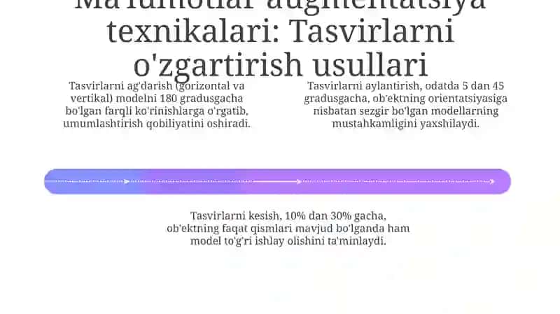 Kompyuter korishda ma'lumotlarni kengaytirish (Data augmentation) 4