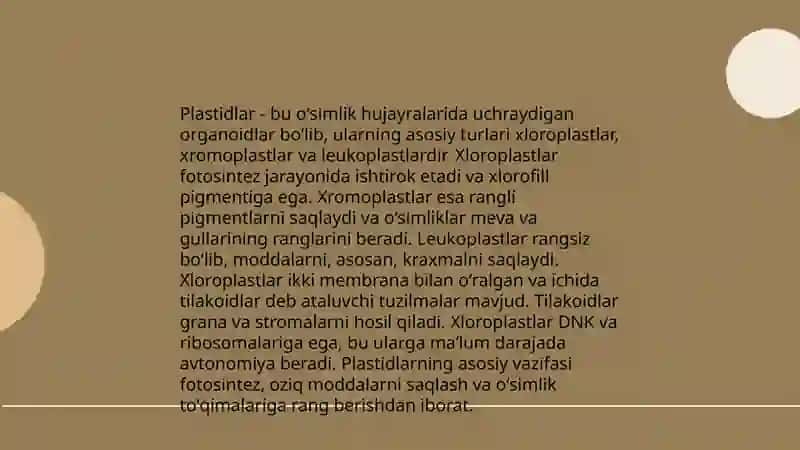 Plastidalar tuzilishi va tiplari 4