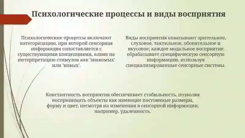 Восприятие и его характеристики 4