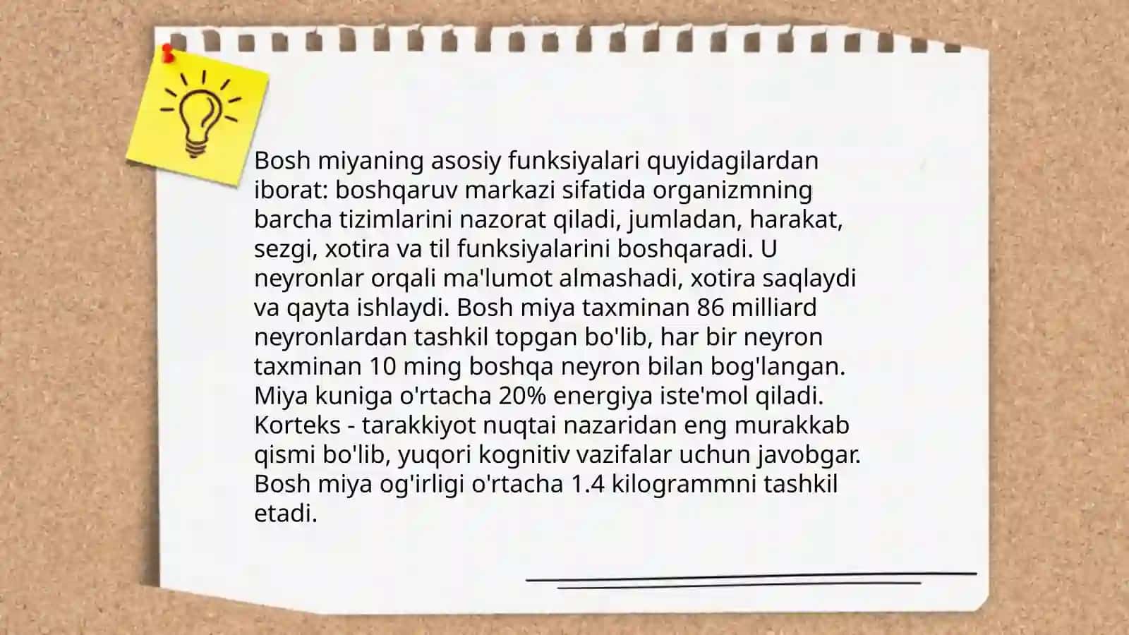 Bosh miyaning anatomiyasi 4