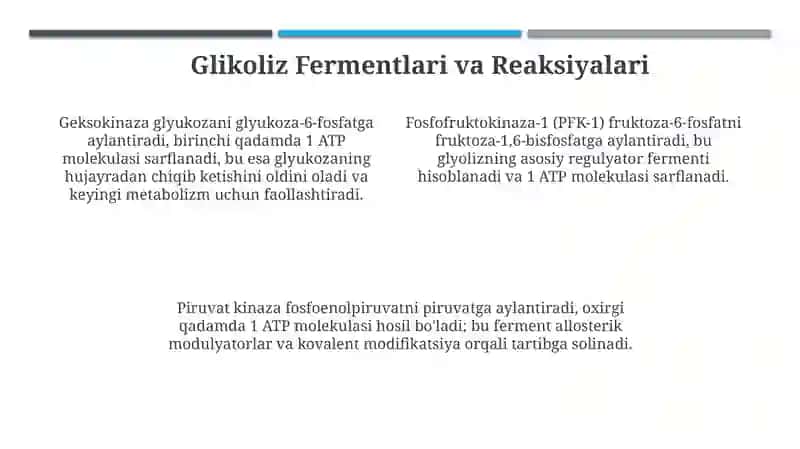 Glikoliz va uning boshqarilishi 4