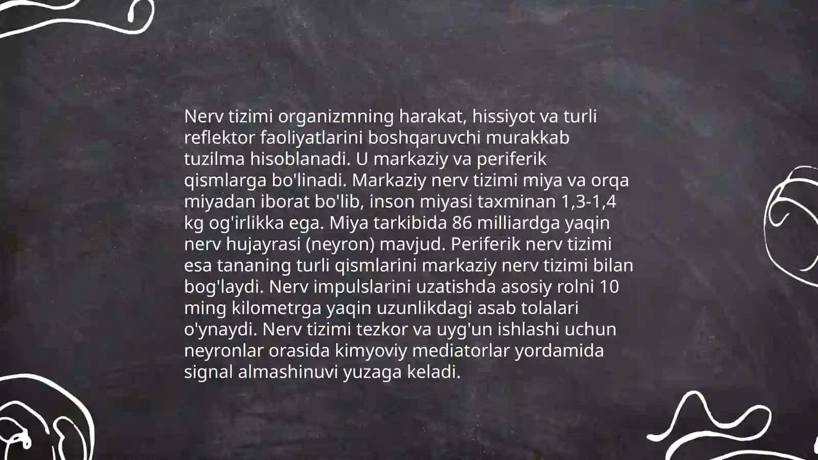 Oliy nerv faoliyati 4