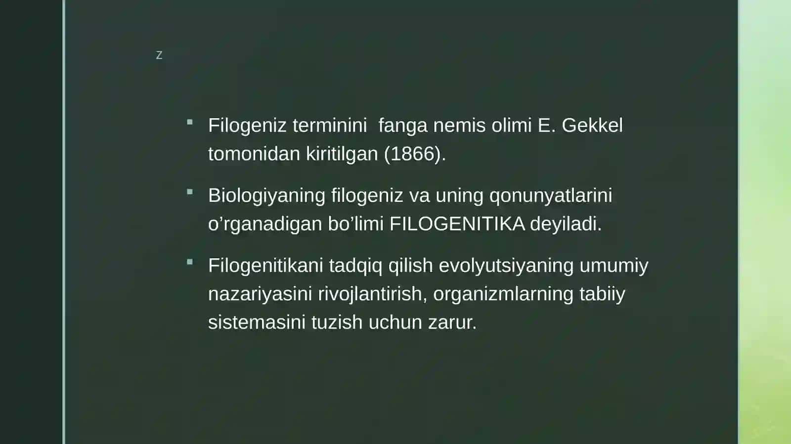 Umurtqasiz hayvonlar dunyosining filogenetik bogʻlanishi 4