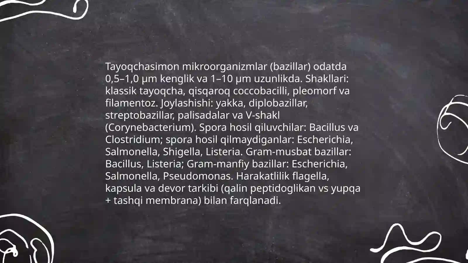 Mikroorganizmlar morfologiyasi 4