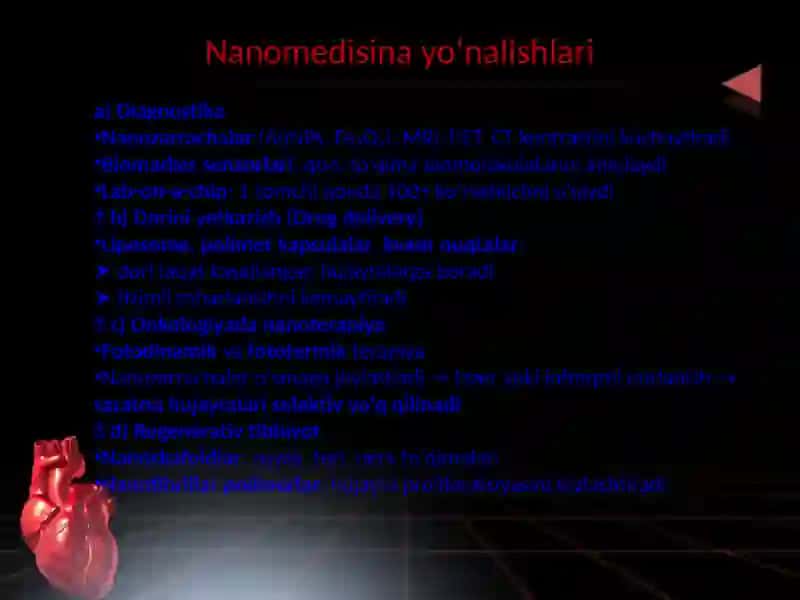 Nanomedisinavananoetika 4
