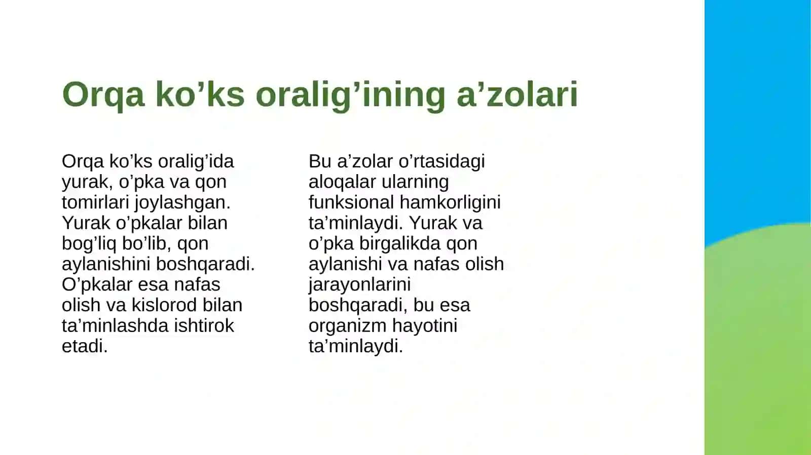 Orqa ko’ks oralig’i a’zolari klinik anatomiyasi 4