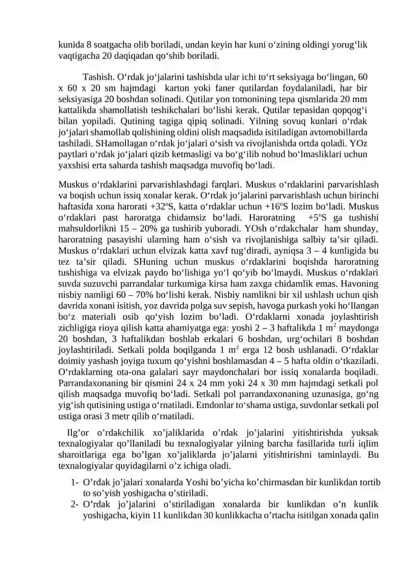 O’rdak jo’jalarini o’stirish va parvarishlash usllari 4