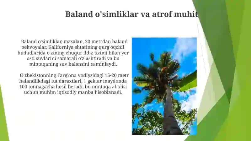 Tuban yuksak o'simliklar 4