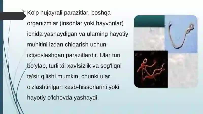 Bir va ko’p hujayrali parazitlarni o’xshashlik va farqlari 4