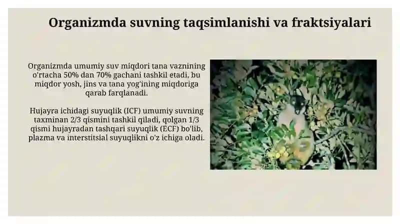 Oʻrganizmningsuv-disperssistemasi 4