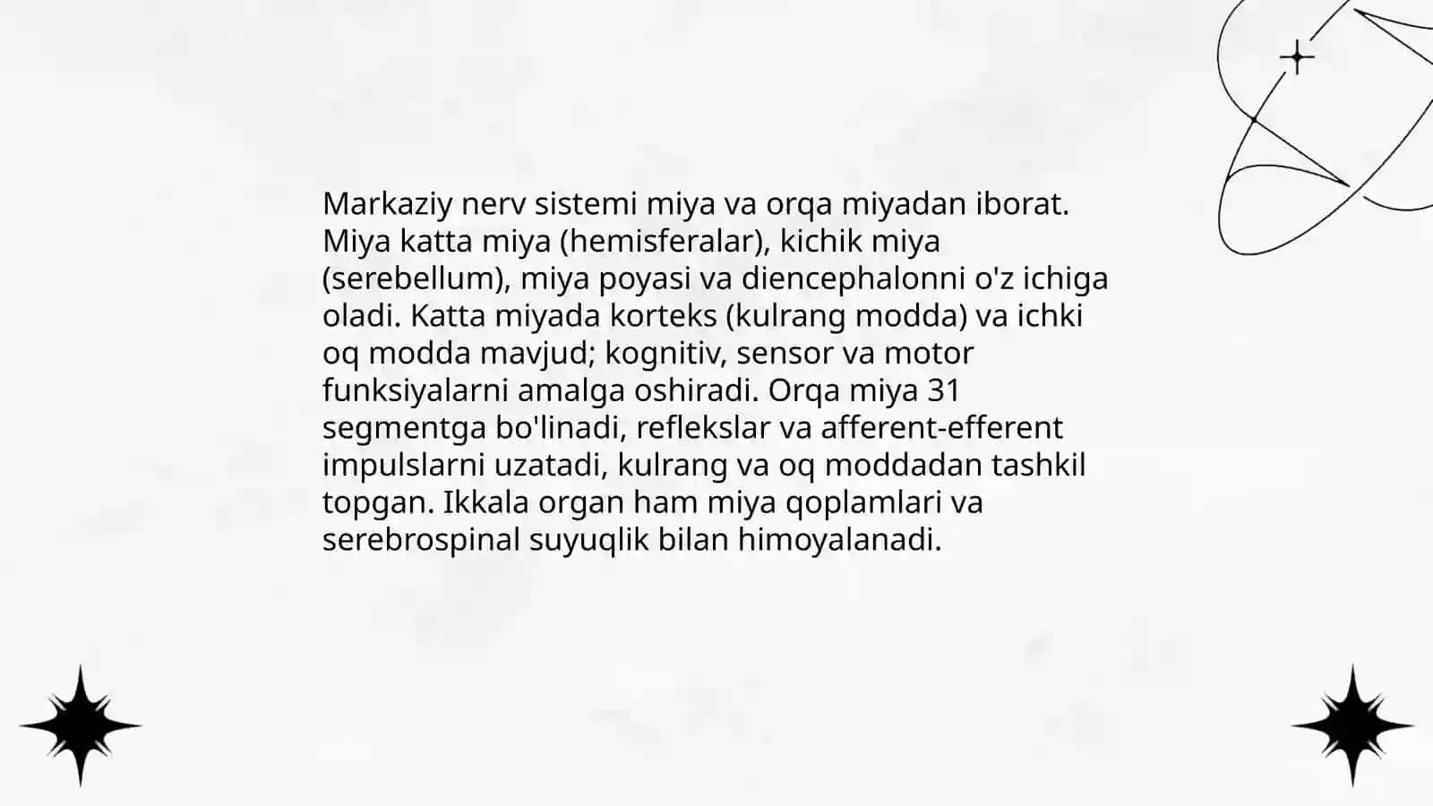 Nerv sistemasining tuzuliwi 4
