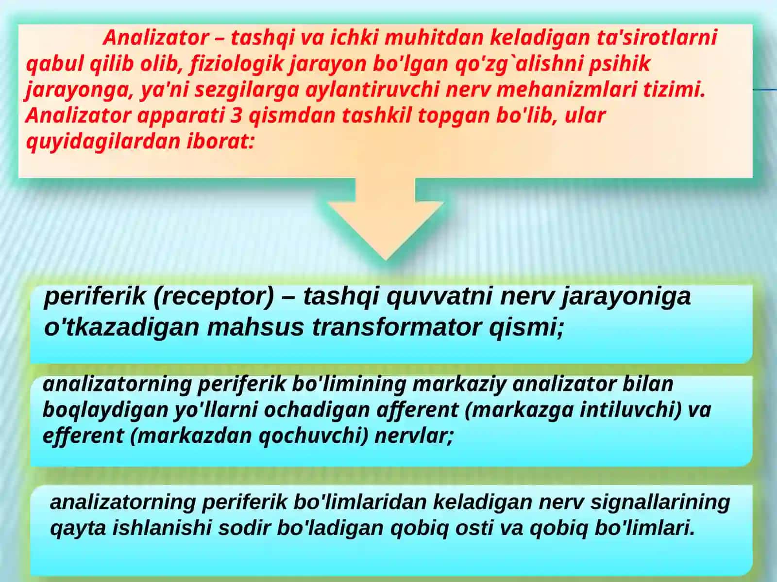 Sezgi 4