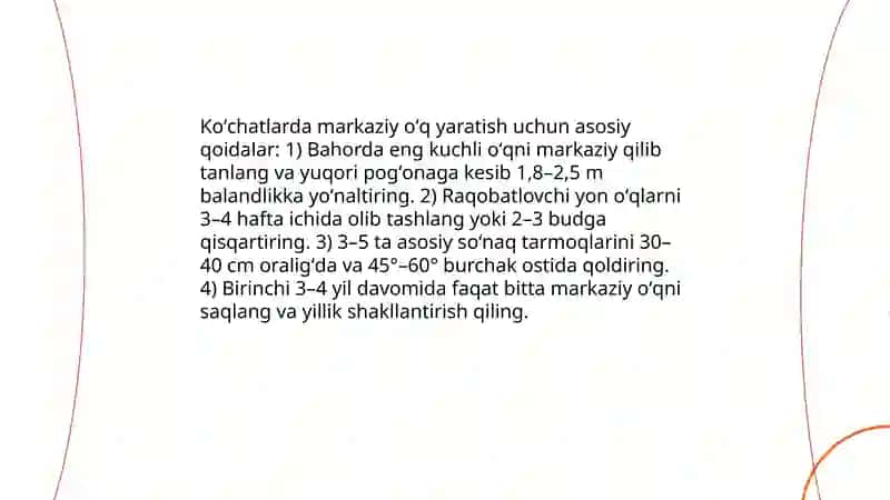 Meva koʻchatlariga shakil berish 4