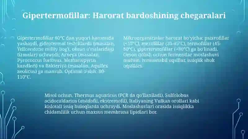Mikroorganizmlarning guruhlarga boʻlinishi 4