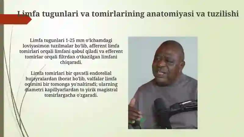 Hazim nayininglimfoidtuzilmalari 4