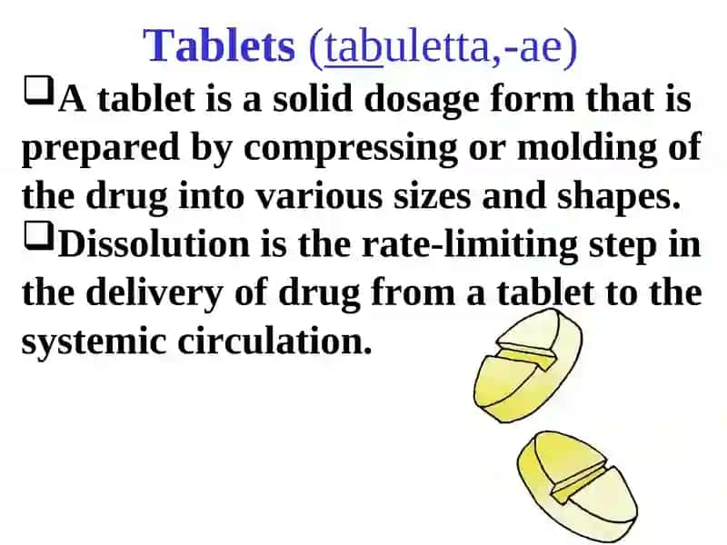 Department of Pharmacology & Toxicology 4