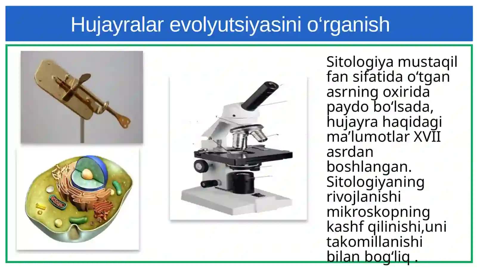 Hayvonot olamini o‘rganamiz 4