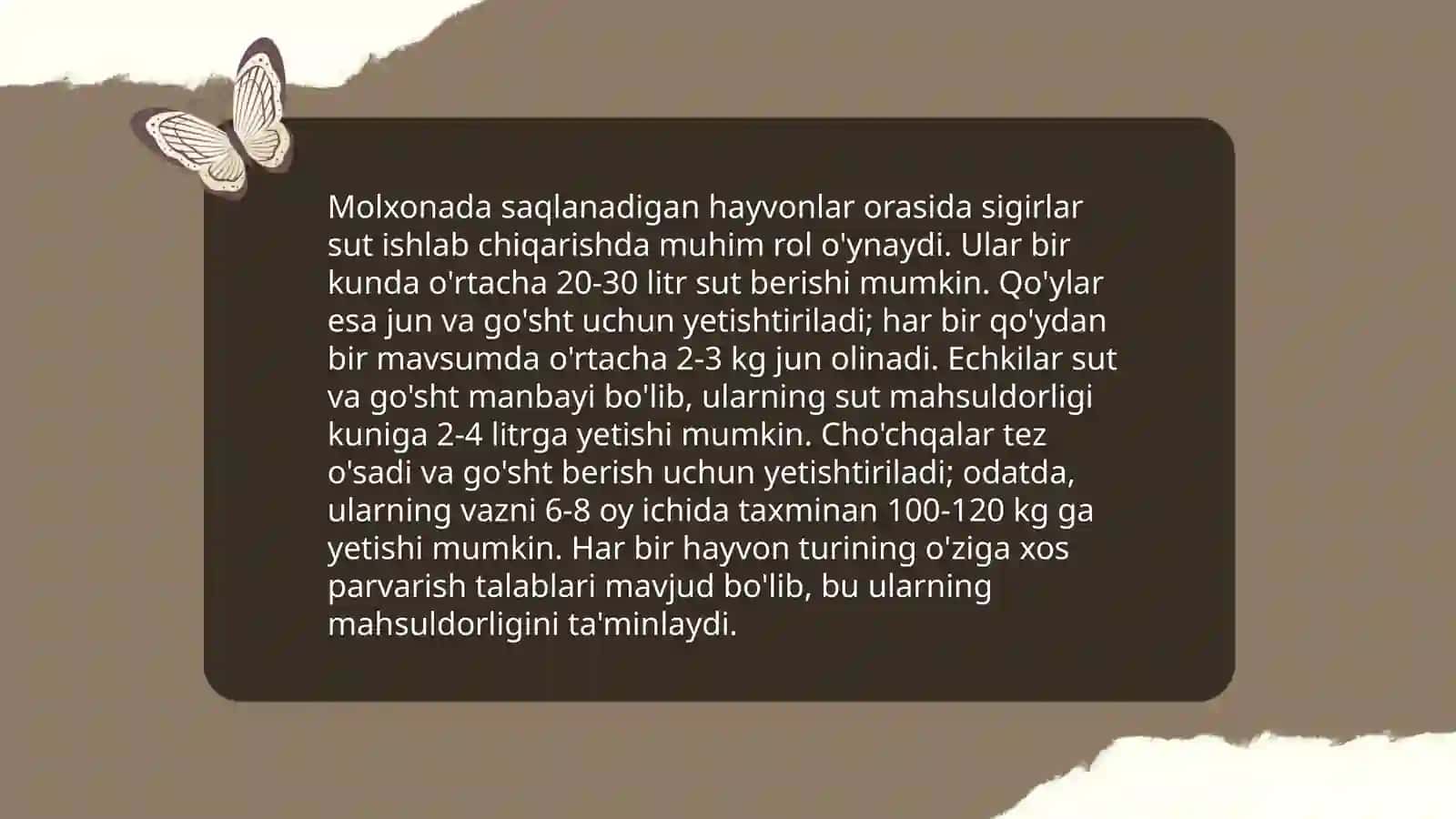 Molxona 4