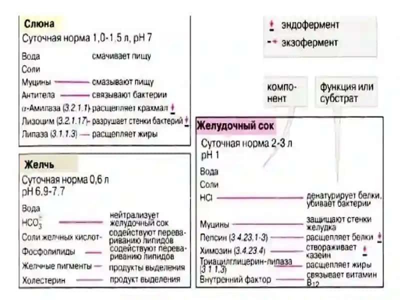 Биологик кимё фани 4