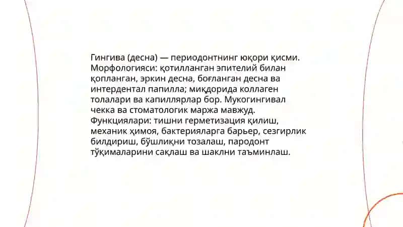 Периодонт 4