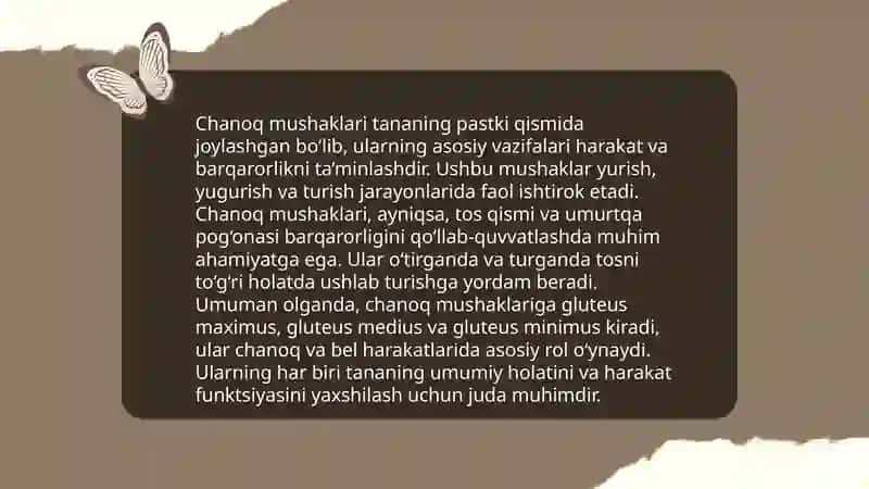 Chanoq muskullari haqida malumot 4