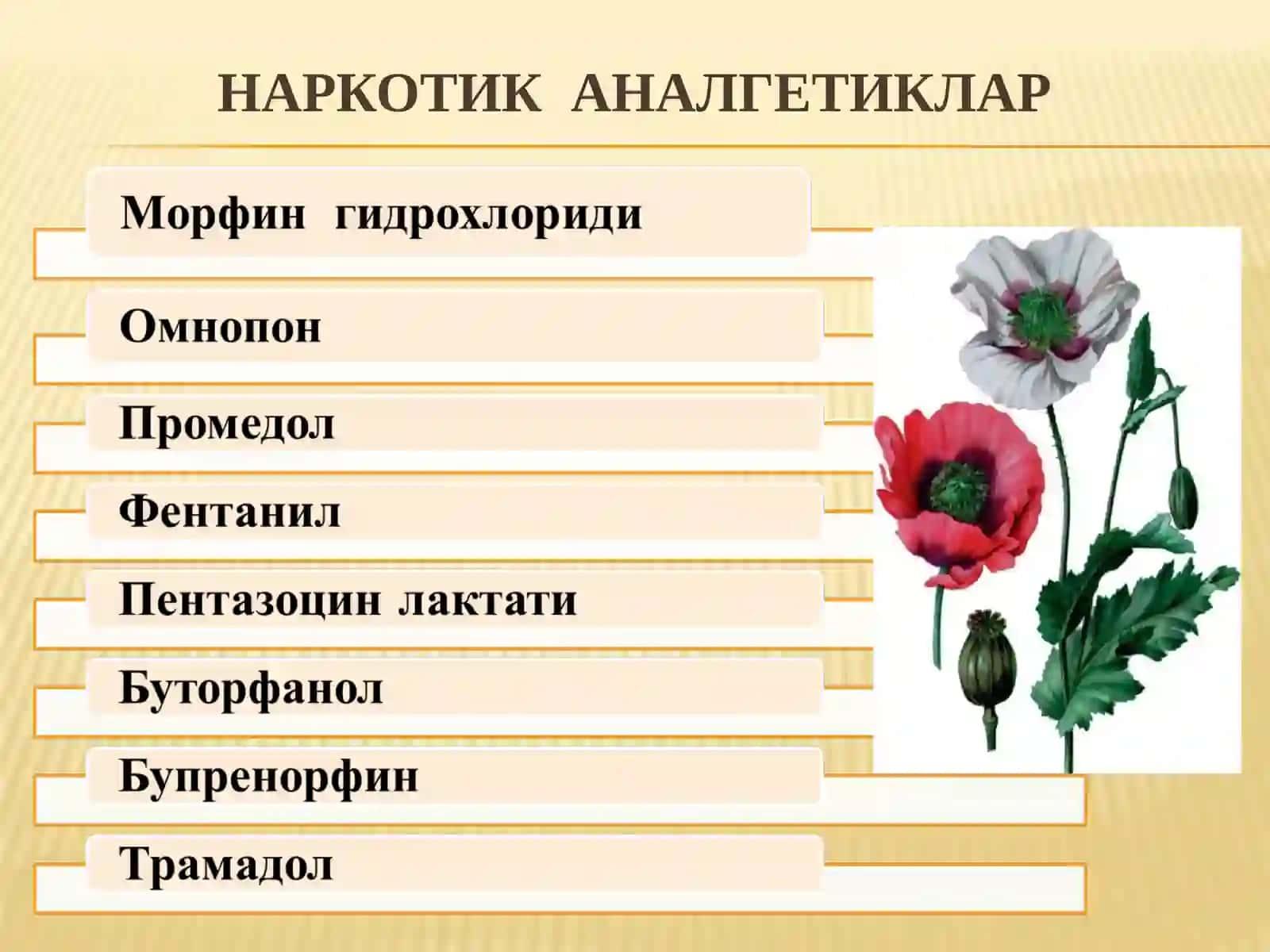 НАРКОТИК ВА НОНАРКОТИК АНАЛГЕТИКЛАР 4