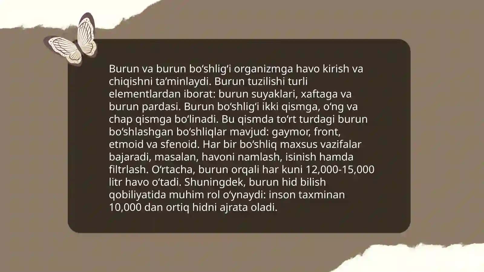 Nafas olish tizimining tuzilish 4